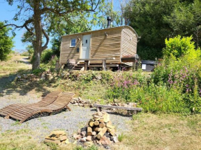 Plum Hut